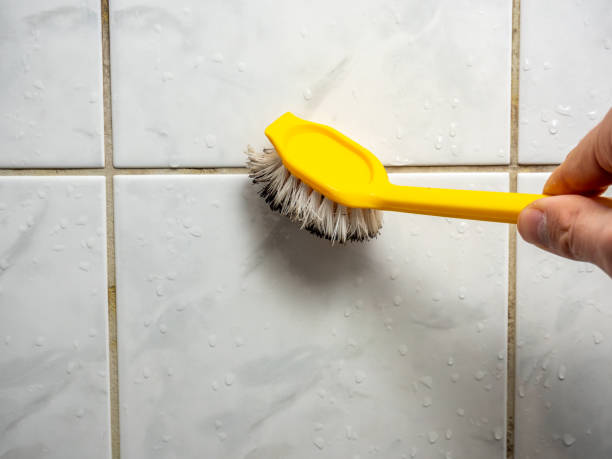 Best Mold Testing  in Bellview, FL