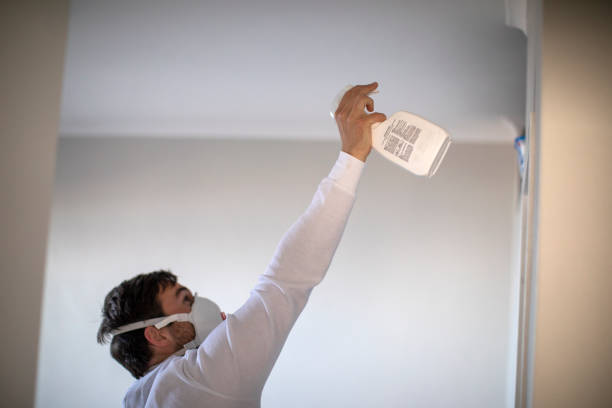 Best Water Damage Restoration  in Bellview, FL