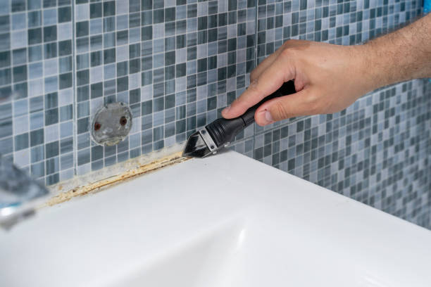 Best Mold Removal Specialists  in Bellview, FL